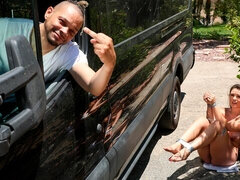 Monumentális dákó, Cumizás, Gesztenyebarna, Döci, Kutya póz, Szőrös, Fajok közötti, Nuni