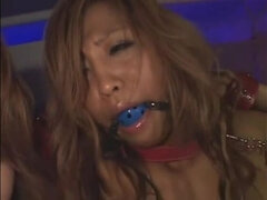 Bondage disciplin sadomasochisme, Dildo, Fetish, Janpansk, Lesbisk, Onani, Strapon, Legetøj