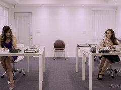 Americkej, Kuřba, Striekanie semena, Péro, Výprask, Dospelé, Natvrdo, Kozičky