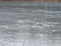 Amatőr, Kötözés – fegyelmezés, Kötözés, Fétis, Szabadban, Nyilvános