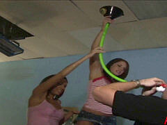 Amatőr, Monumentális dákó, Cumizás, Gesztenyebarna, Diákotthon, Csoport, Szabadban, Leselkedés