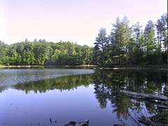 Amatoriale, Bella, Tette grandi, All'aperto, Pubblico, Donna con pene, Solo, Tette