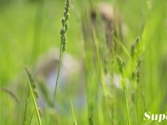 Morena, Pontos de vista, Público, Solo chão, Provocar, Adolescente, Tetas, Vibrador