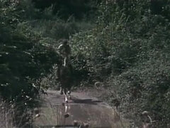 Italianer, Milf, Vintage