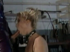 Amador amadora, Bondage disciplina dominação submissão sadismo e masoquismo, Pauzão, Loiroa, Boquete, Jato de porra, Europeu, Alemãoã