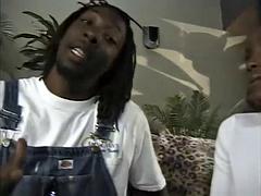 Isot tissit, Musta, Suihinotto, Tumma, Tissit, Vuosikerta