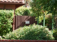 Tyłek, Sypialnia, Brunetka, Włochaty, Na wolnym powietrzu, Pirsing, Cipka, Cycki