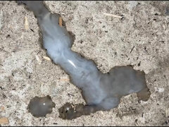 Sexy Big Black Dick, Sexy Boy