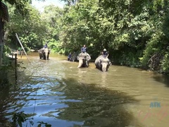 After a long day of tourist stuff, you still get to creampie Elsa