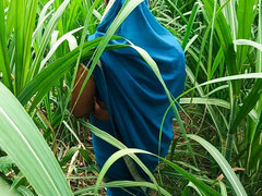 Desi Bhabhi Fuck in Sugarcane Field