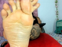 Amaterji, Stopala, Ženska dominacija, Latinka, Samozadovoljevanje, Solo, Strapon