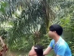 Ngewe Sama Anak Di Kebun Sawit Indonesia Crot Dalam