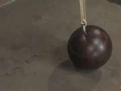 Bondage disciplin sadomasochisme