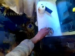 Amatéři, Velké kozy, Kuřba, Prsatá, Pár, Honění, Různé pohledy, Kuřba sání