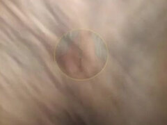 Pariskunta, Karvainen, Kotitekoinen, Latinankieli, Pillu