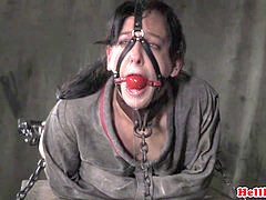 Bondage domination sadisme masochisme, Domination, Domestique