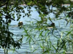 Szájba élvezés, Ondó fröcskölés, Kézimunka, Maszti, Szabadban, Bugyi, Nézőpont, Valóság