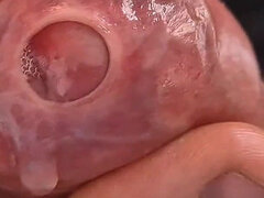 Grote lul, Daddy, Homo, Huisgemaakt, Alleen