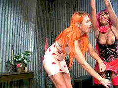 Anális szex, Kötözés – fegyelmezés, Cumizás, Uralkodás, Ébenfekete, Kőkemény, Hölgyes fiúk, Nőférfi