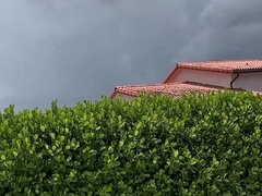 Duży tyłek, Duży kutas, Duże cycki, Blondynka, Obciąganie, Hardcore, Punkt widzenia, Ostro