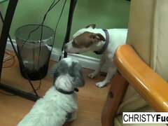 Rit, Velike joške, Blondinka, Hd, Muco, Koščena, Joške, Igrače