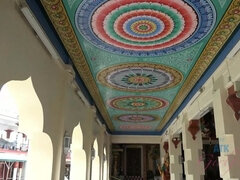 Amatør, Anal, Kukk suging, Brunette, Kjæreste, Hovne nippler, Fitte, Skjørt