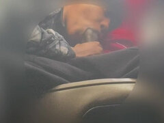 Ameriški, Črnke, Fafanje, Avto, Par