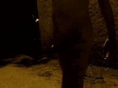 Stor kuk, Europeisk, Hemmagjord, Utomhus, Solo