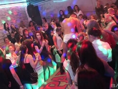 Blondýna, Brunetka, Evropské, Skupina, Mezirasové, Spodní prádlo, Piercing, Realita