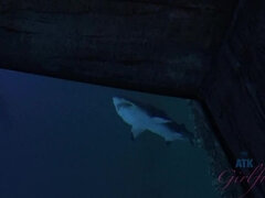 Brunetka, Dziewczyna, Obcasy, Punkt widzenia, Ogolona, Chudy, Odpędzanie, Cycki