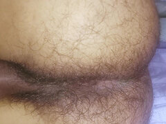 Amateur, Peludo, Solo