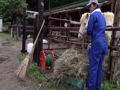 Asijské, Kuřba, Kompilace, Stříkání spermatu, Prstění, Pička