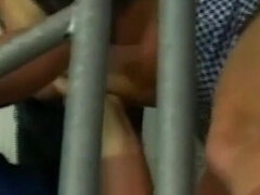 Anal, Pik sutte, Brunette, Europærer, Mor jeg gerne vil kneppe, Tisse, Vintage