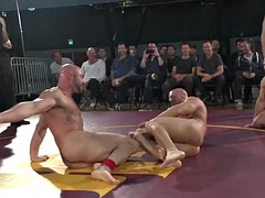 Muscly studs wrestling in front of audience