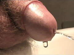 Ομοφυλόφιλος