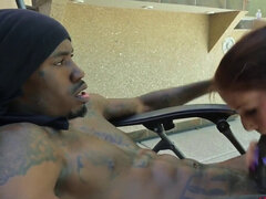 Πίπα, Διαφυλετικό