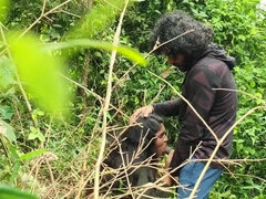Malayali Couple Wild Outdoor Sex in Forest - Desi Village MMS 4K