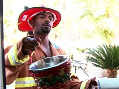 Monumentális dákó, Fekete, Cumizás, Gesztenyebarna, Ondó fröcskölés, Kutya póz, Kőkemény, Természetes mellek