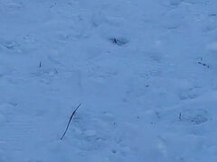 Любители, Лесбиянка, Оргазм, От первого лица, Киски