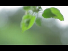 Waiting for Rain