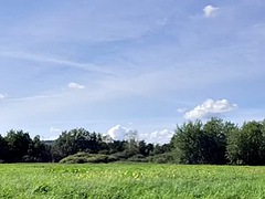 Amatőr, Monumentális dákó, Ondó fröcskölés, Kivillanó idomok, Francia, Meleg, Kézimunka, Szabadban