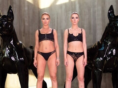 Amatőr, Tekintélyes didik, Cumizás, Kutya póz, Négyes, Kőkemény, Vékony, Tini