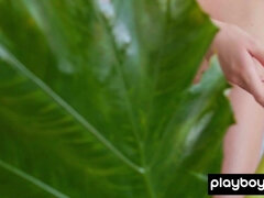 Nude Filipino muse posing with huge leaf