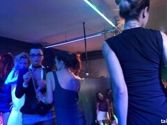 Blondine, Kysse, Lesbisk, Orgie, Pornostjerner, Fisse, Swingers, Våd