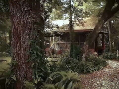 緊縛, ブロンド