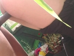 Quicky in the Garden