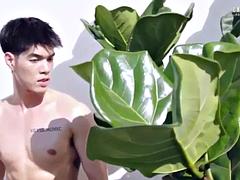 Anal, Asiatisk, Stor kuk, Dubbelpenetrering, Hardcore, Thai, Trekant