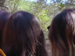 Stunning BFFS teens 18+ have group sex during camping trip