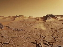 Grote kont, Grote mammen, Pijpbeurt, Sperma shot, Ondergoed, Gezichtspunt