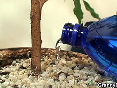 큰 음경, 오랄섹스, 쿠거, 커플, 깊은목구멍, 할아버지, 나이든, 고함치는